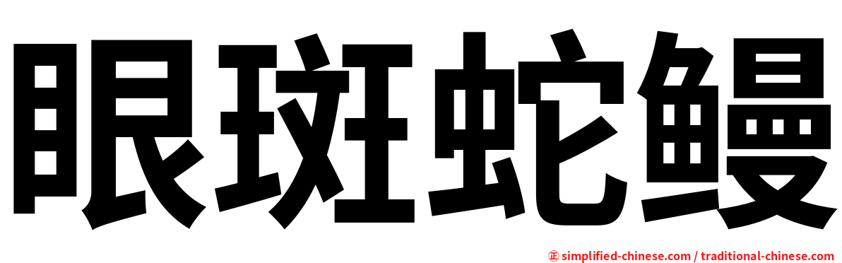 眼斑蛇鳗