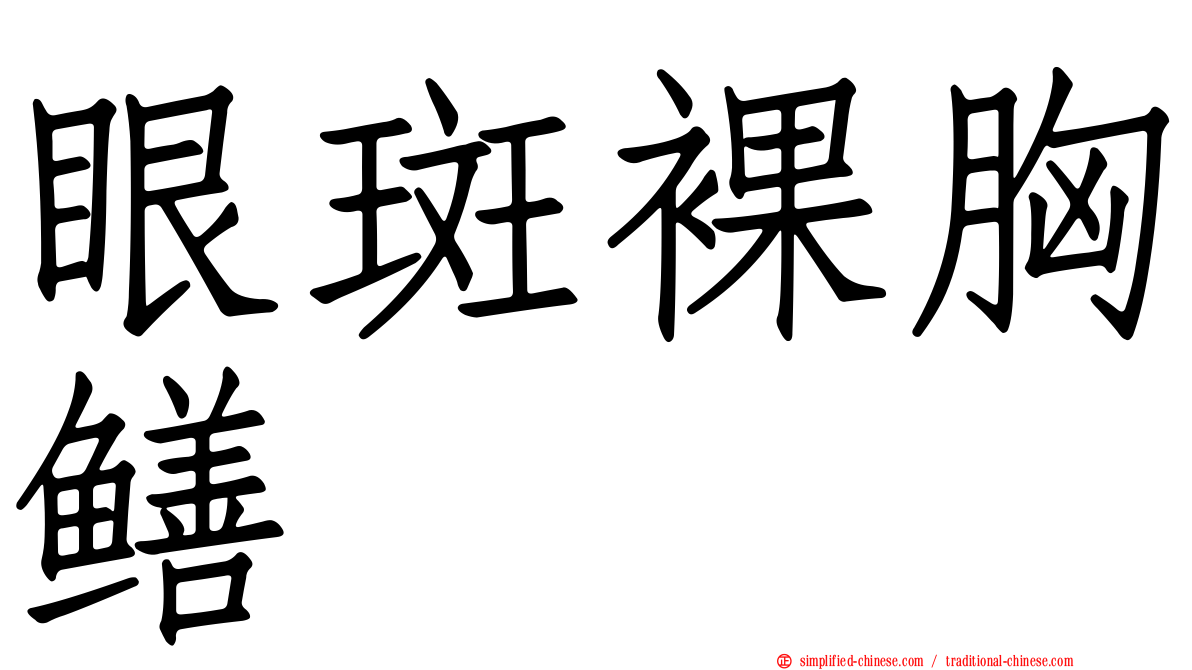 眼斑裸胸鳝