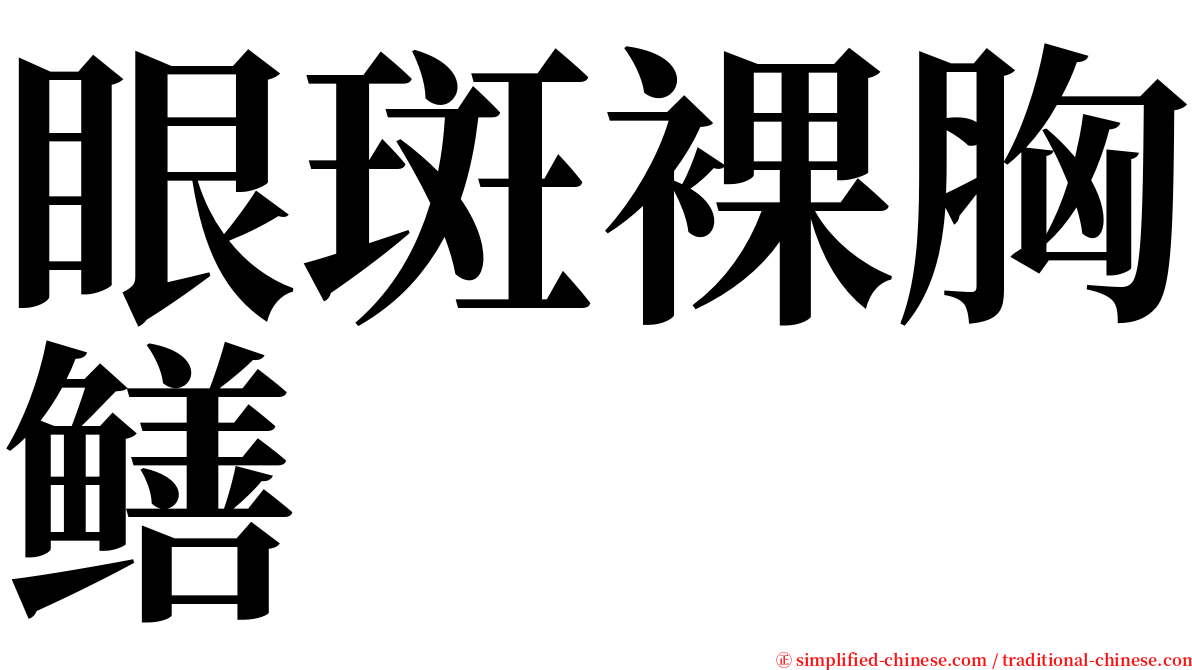 眼斑裸胸鳝 serif font