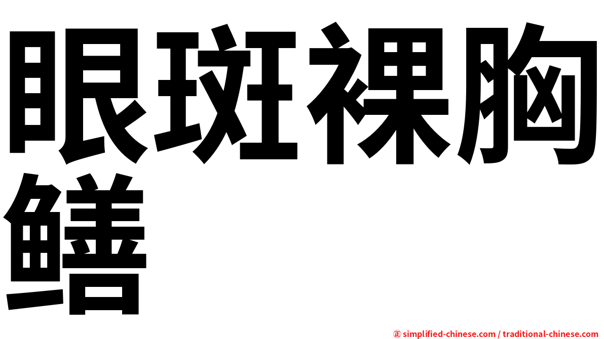 眼斑裸胸鳝