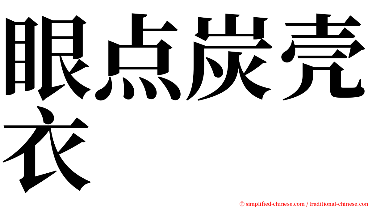 眼点炭壳衣 serif font