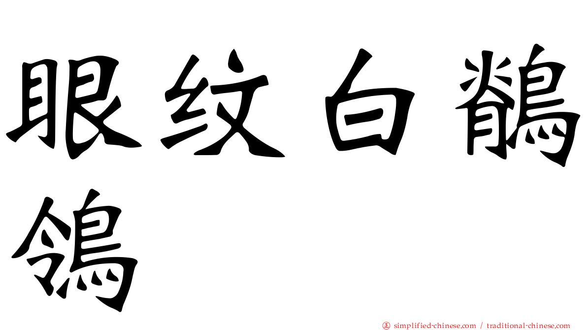 眼纹白鹡鸰