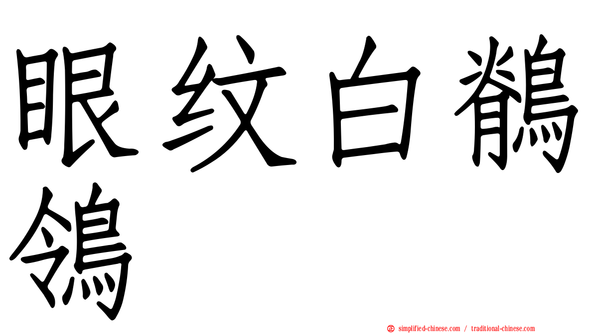 眼纹白鹡鸰