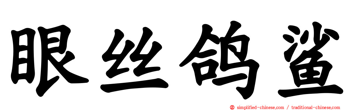 眼丝鸽鲨