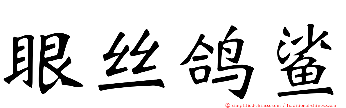 眼丝鸽鲨