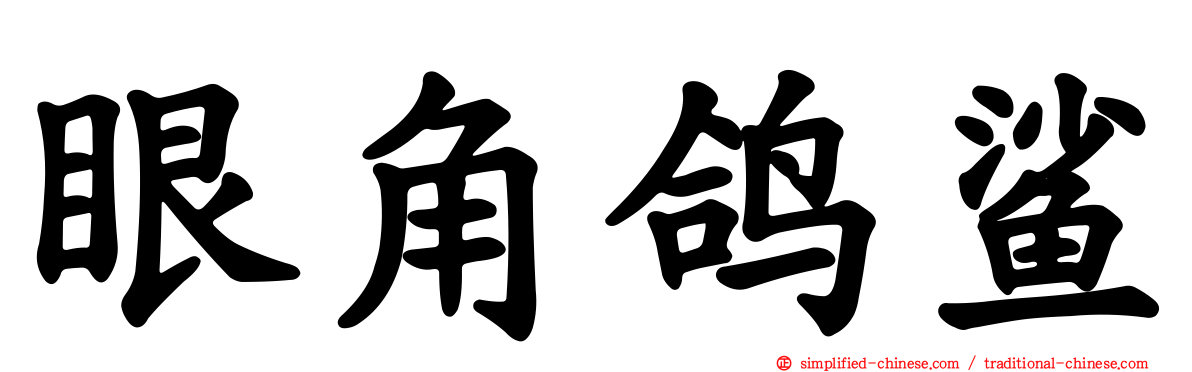 眼角鸽鲨