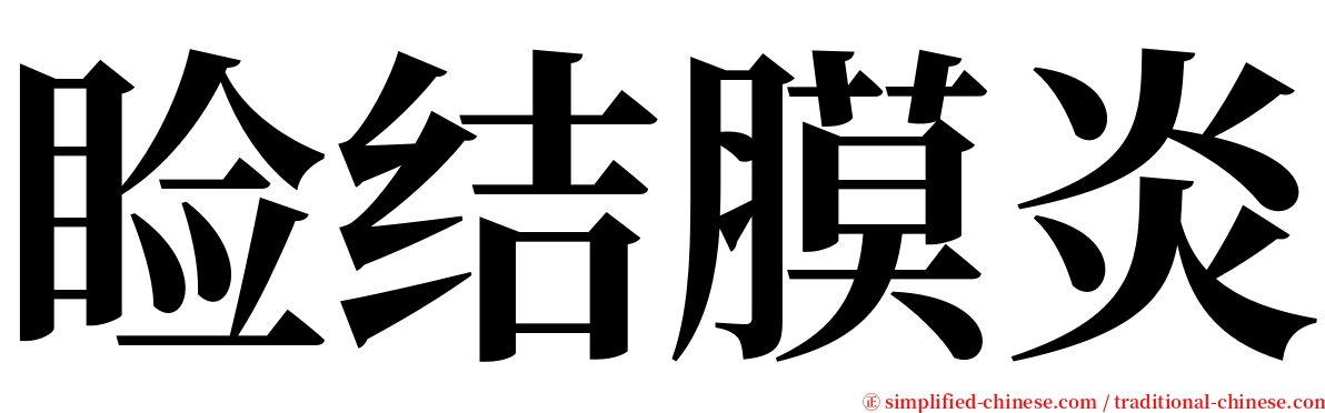 睑结膜炎 serif font