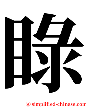 睩 serif font
