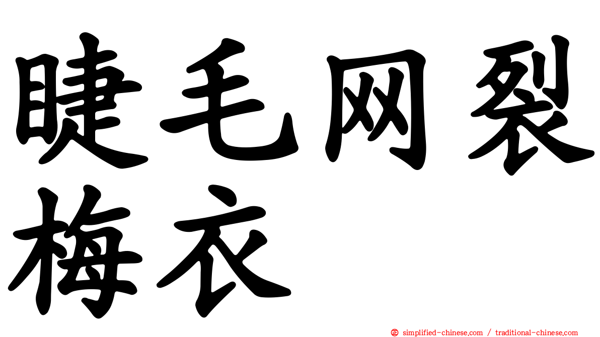 睫毛网裂梅衣