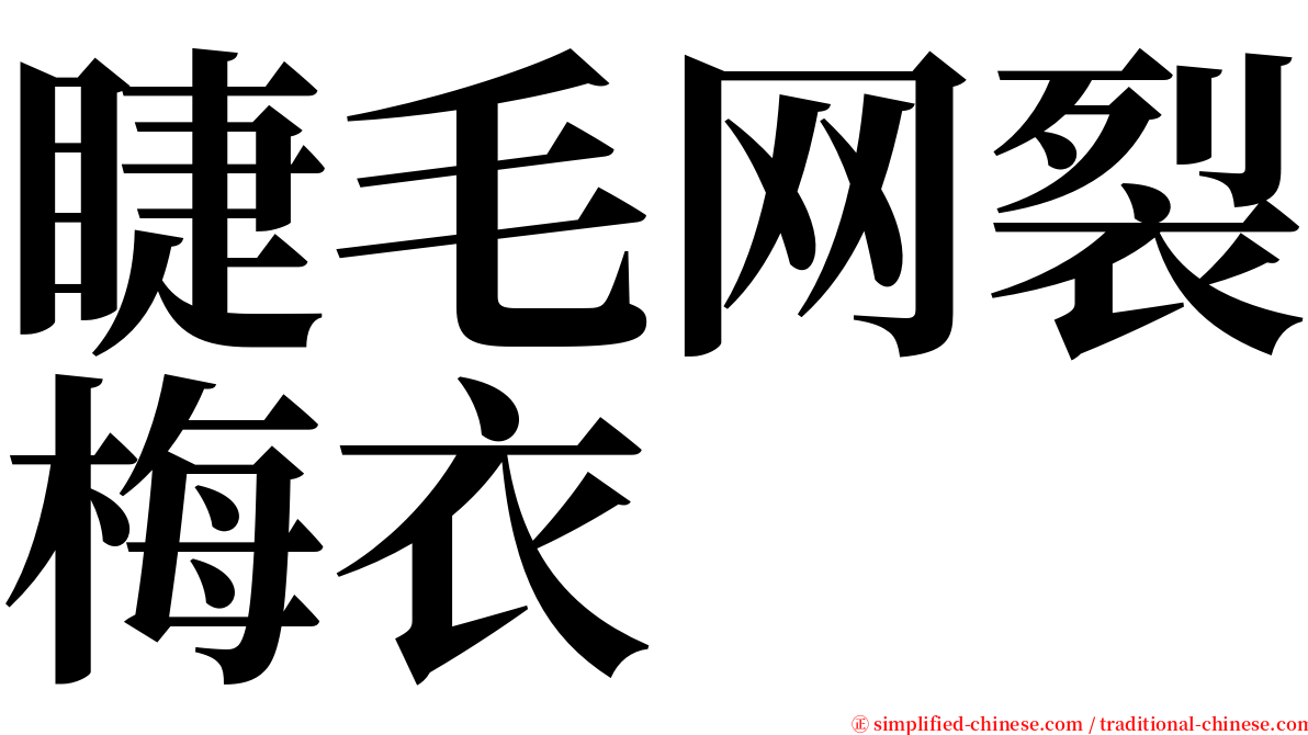 睫毛网裂梅衣 serif font