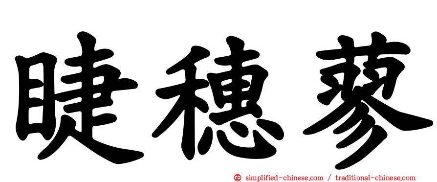 睫穗蓼