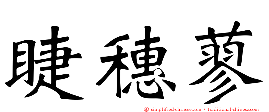 睫穗蓼