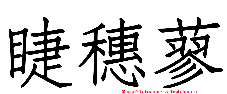睫穗蓼