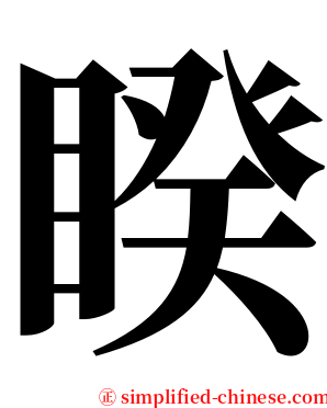 睽 serif font