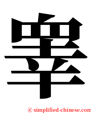 睾 serif font
