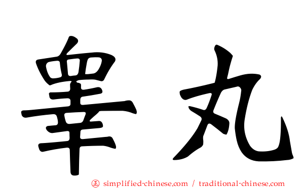 睾丸