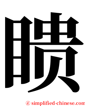 瞆 serif font
