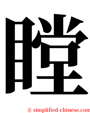瞠 serif font