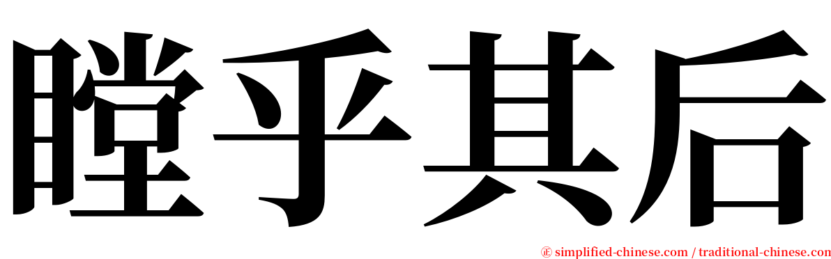 瞠乎其后 serif font