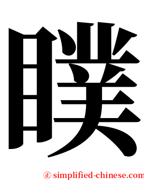 瞨 serif font