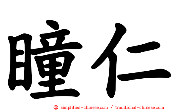 瞳仁