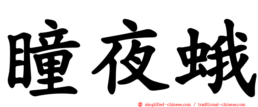 瞳夜蛾