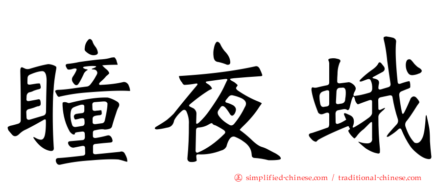 瞳夜蛾