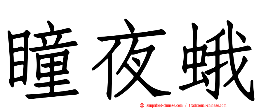 瞳夜蛾