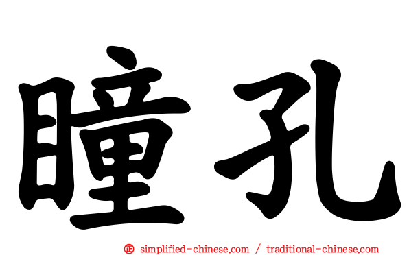瞳孔