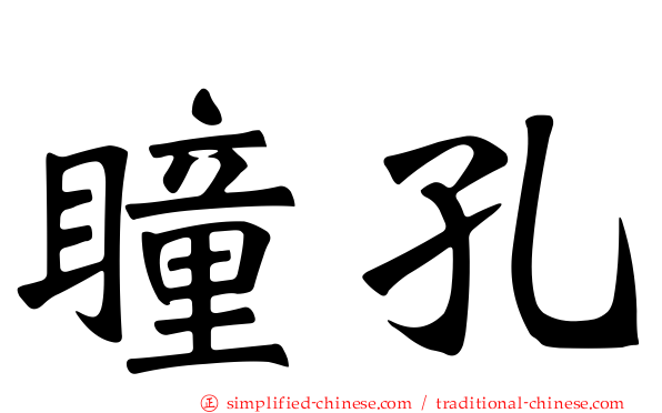 瞳孔