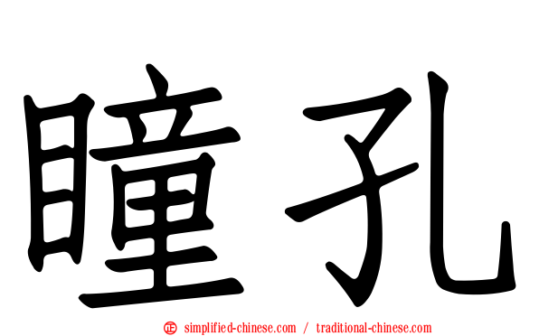 瞳孔