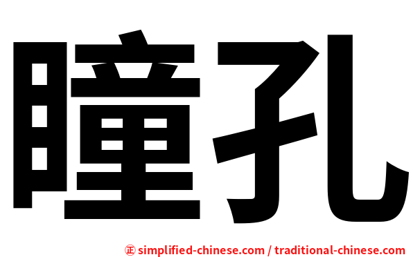 瞳孔