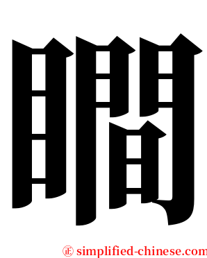 瞷 serif font