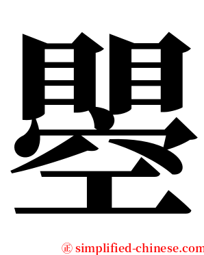 瞾 serif font