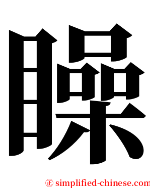 矂 serif font