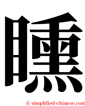 矄 serif font