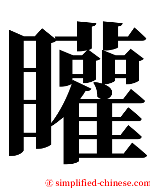 矔 serif font