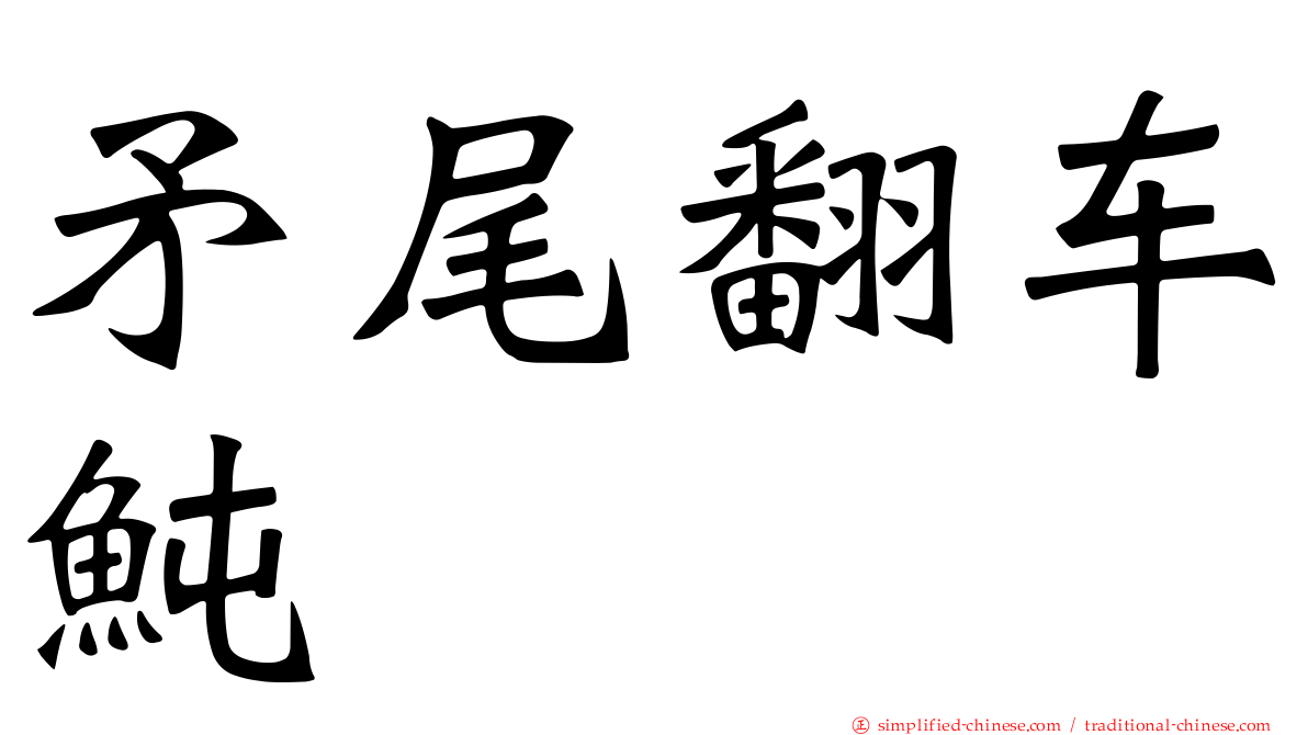 矛尾翻车鲀