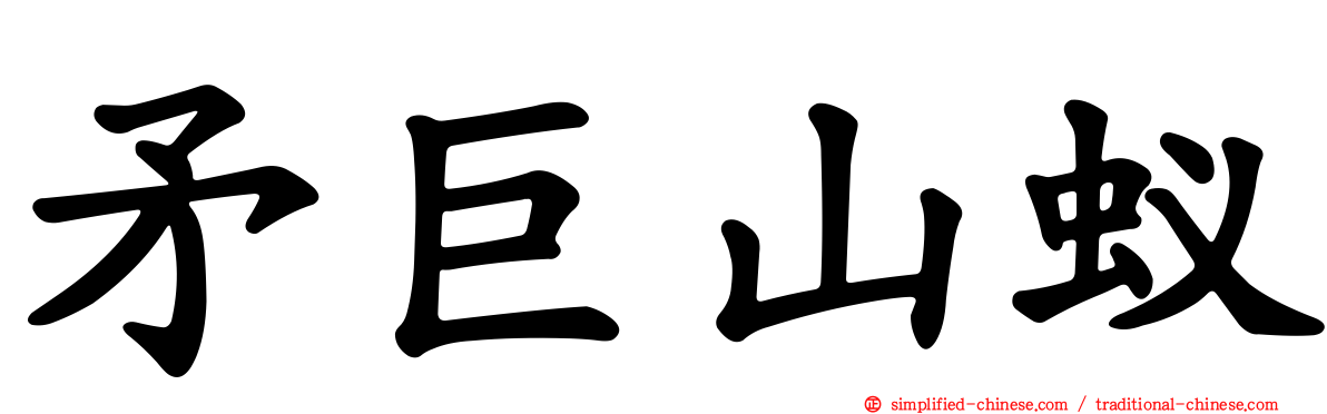 矛巨山蚁
