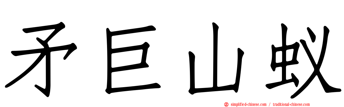 矛巨山蚁