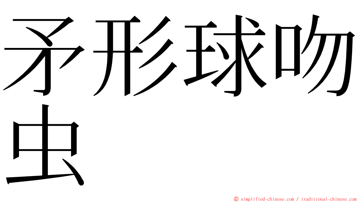 矛形球吻虫 ming font
