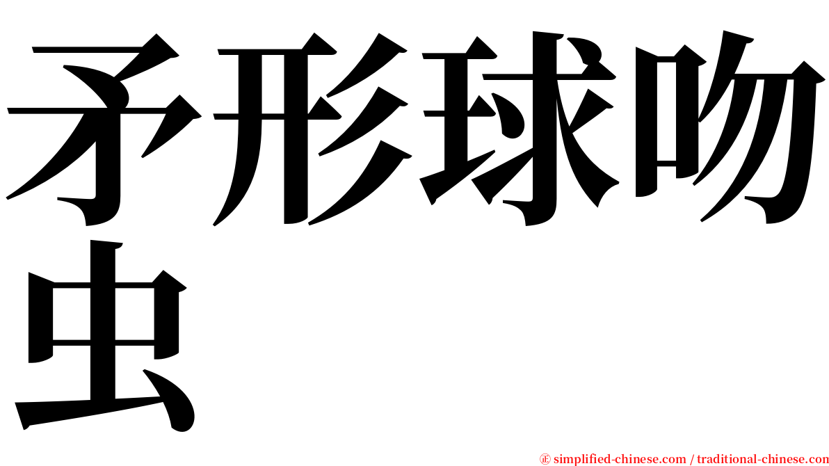 矛形球吻虫 serif font