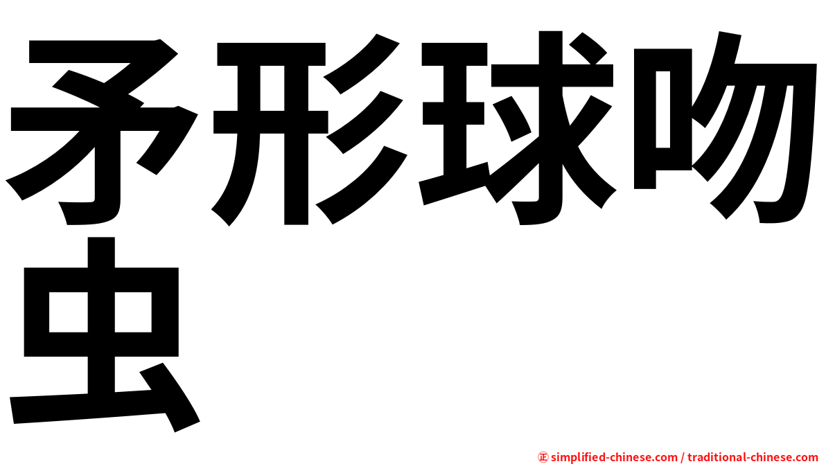 矛形球吻虫