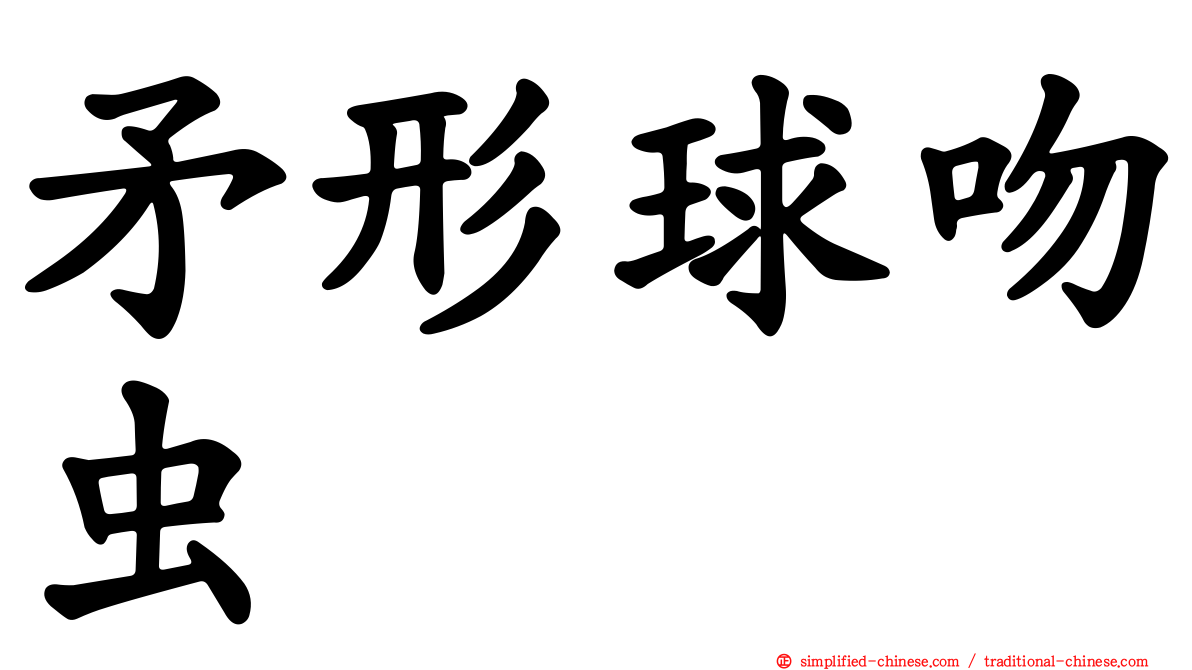 矛形球吻虫