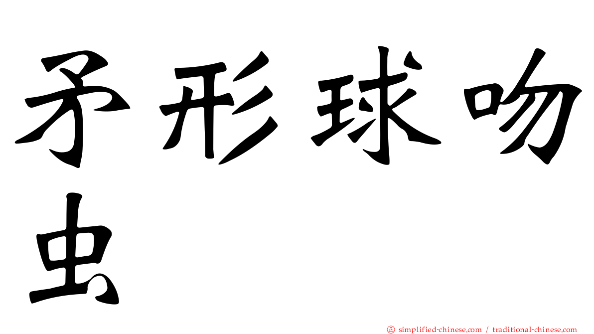 矛形球吻虫