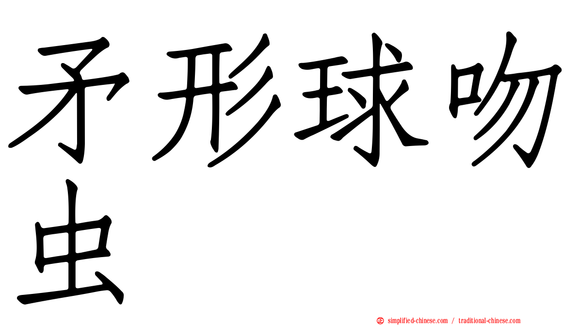 矛形球吻虫