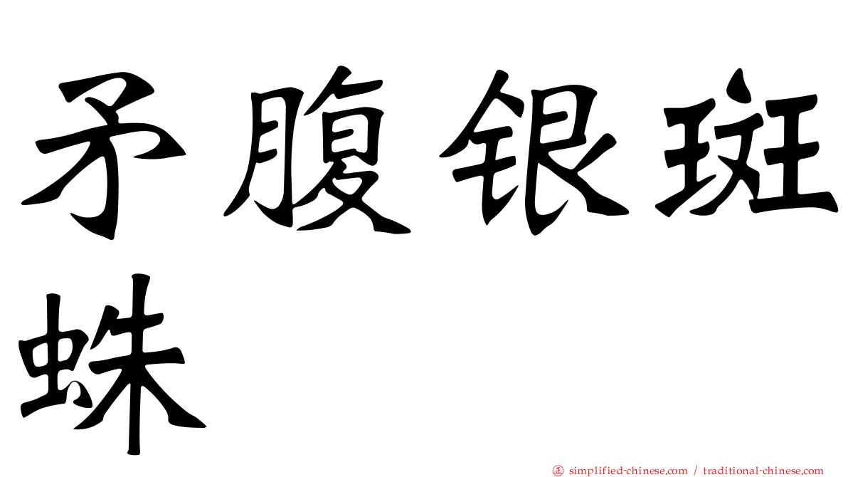 矛腹银斑蛛