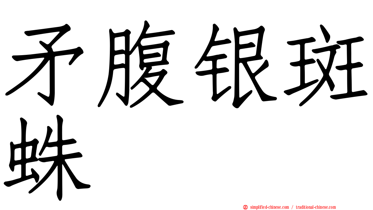 矛腹银斑蛛