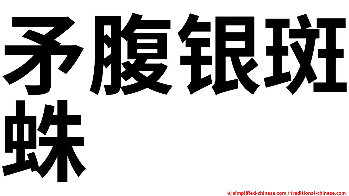 矛腹银斑蛛