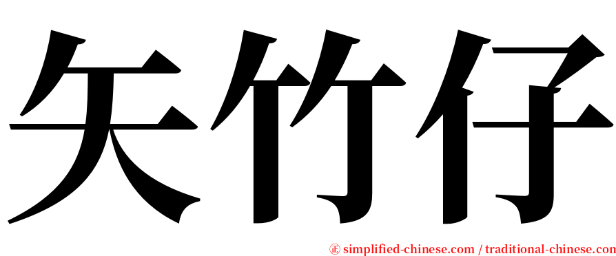 矢竹仔 serif font